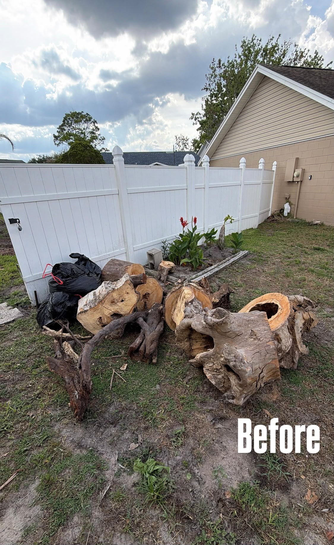 Tree stumps and bags piled in the backyard